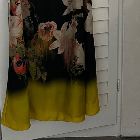 Ted Baker dress - Picture 4 of 4